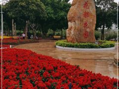 -广东花都湖国家湿地公园