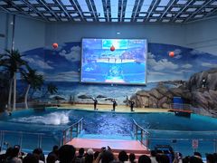 -福州罗源湾海洋世界旅游区