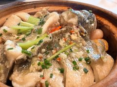 砂锅焗鲈鱼-点都德·毕德寮