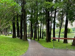 -四海公园(南山区)