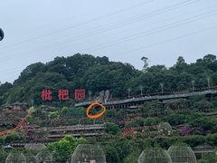 -枇杷园食为鲜火锅(南山店)