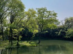 -西溪国家湿地公园