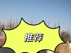 -莱西月湖公园