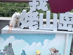 -巢湖姥山岛