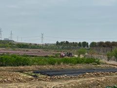 -武汉紫薇都市田园