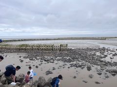 -南汇嘴观海公园