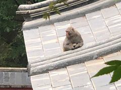 -北京上方山国家森林公园
