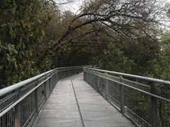 -佛山华盖山公园