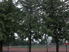 -辽宁大学(崇山校区)