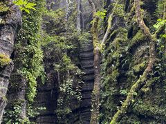 -梭布垭石林景区