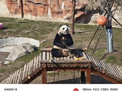 -盐城大丰港动物园
