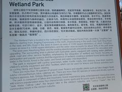 -东郊湿地公园