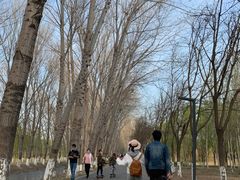 -东郊湿地公园