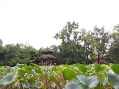 -房湖公园