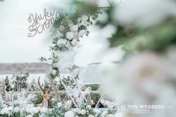 -Sunny喜铺婚礼策划(东部店)