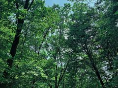-本溪汤沟绿石谷森林公园