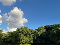 -上海兴国宾馆香樟园西餐厅