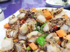葱爆威海扇贝-威海渔村(静安旗舰店)