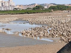 -洛阳桥