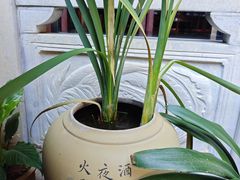 -香满楼.建水老宅院