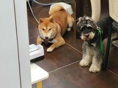 -伽利略剧本探案馆(国贸店)