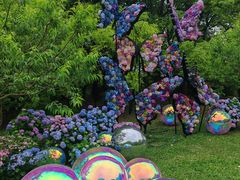 -上海共青森林公园