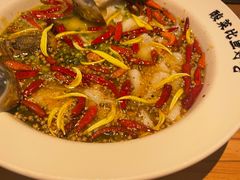 -太二酸菜鱼(石家庄万象城店)