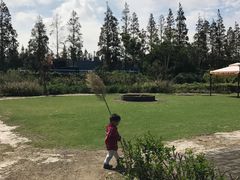 -前小桔亲子创意农场·草莓采摘·露营烧烤