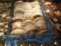 -徐记海鲜(南油永新汇店)