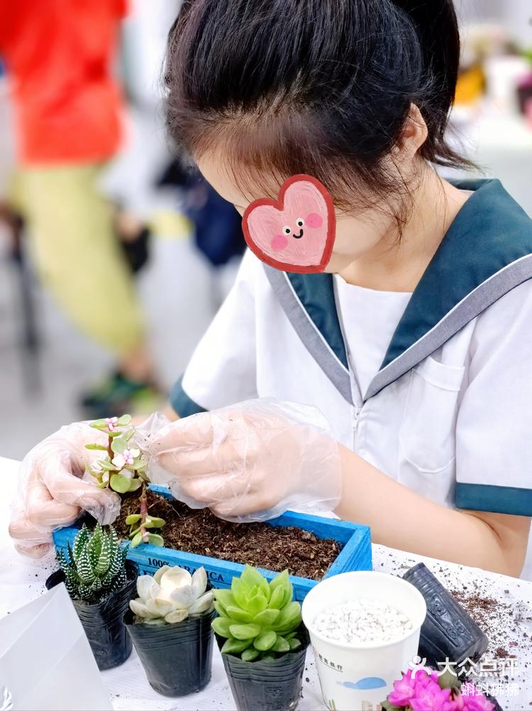 遛娃记多肉微景观diy