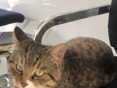 -中田健身工作室(嘉定江桥店)