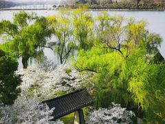 -南京城墙景区
