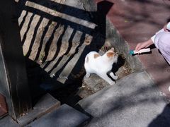 -敬亭山风景名胜区