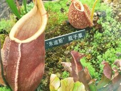 -国家植物园南园