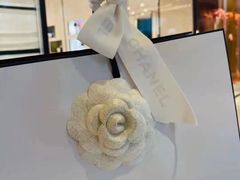 -CHANEL(ifs国际金融店)