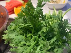 -阳坊胜利涮羊肉(禧乐汇店)