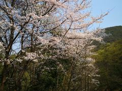 -达蓬山旅游度假区