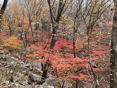 -丹东市五龙山风景区
