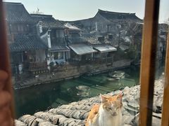 -西塘人家•黑金冠本地好店