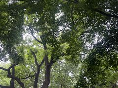 -青岛第一海水浴场