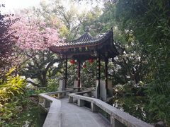 -乌山风景区