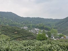 -十里琅珰