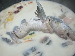 -鲜潭蒸汽石锅鱼(五道口购物中心店)