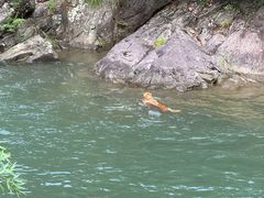 -安吉龙王山峡谷漂流