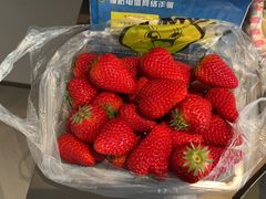 -尹三豆汁(前门旗舰店)