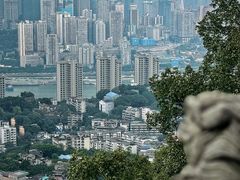 -南山植物园
