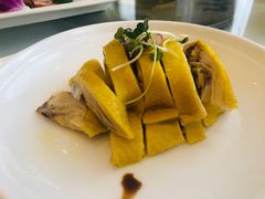-骏莱海鲜鱼港(五角场店)