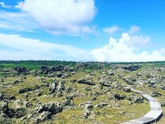 -龙坑生态保护区