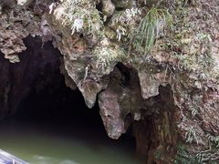 -怀托摩萤火虫洞