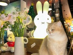 -咖法森林·咖啡  酒吧(天河店)